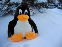 Разработчики Linux сумели переиграть в патентном споре Ротшильда