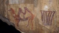 Двугорбый верблюд из пещеры Шульган-Таш стал товарным знаком